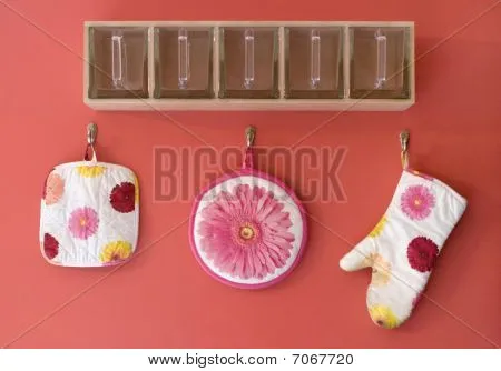 12667 choosing gerbera daisy size