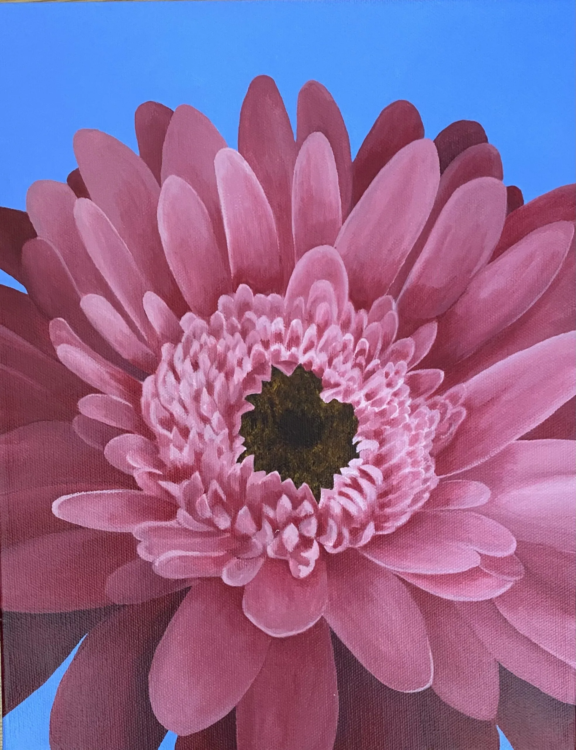 12667 gerbera daisy textiles