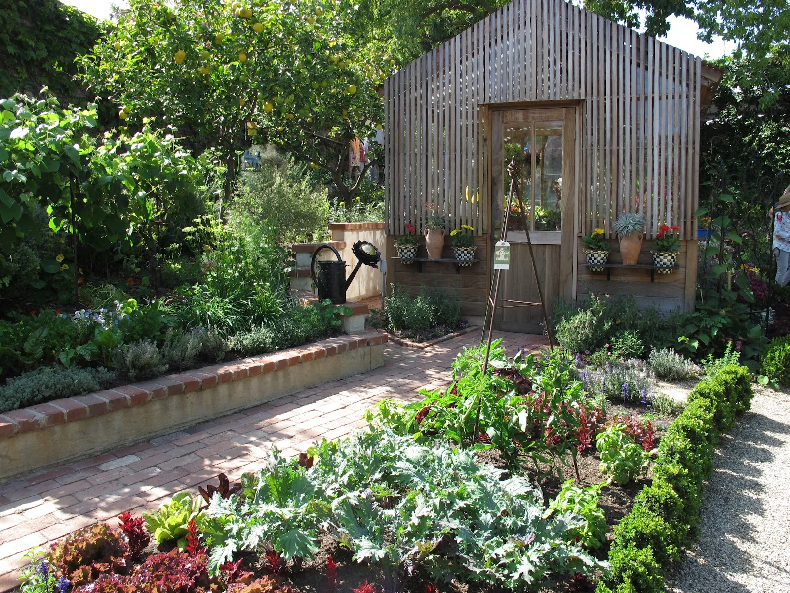 /img/12788-kitchen-decor-garden-benefits.webp