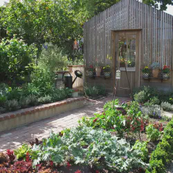 /img/12788-kitchen-decor-garden-benefits.webp