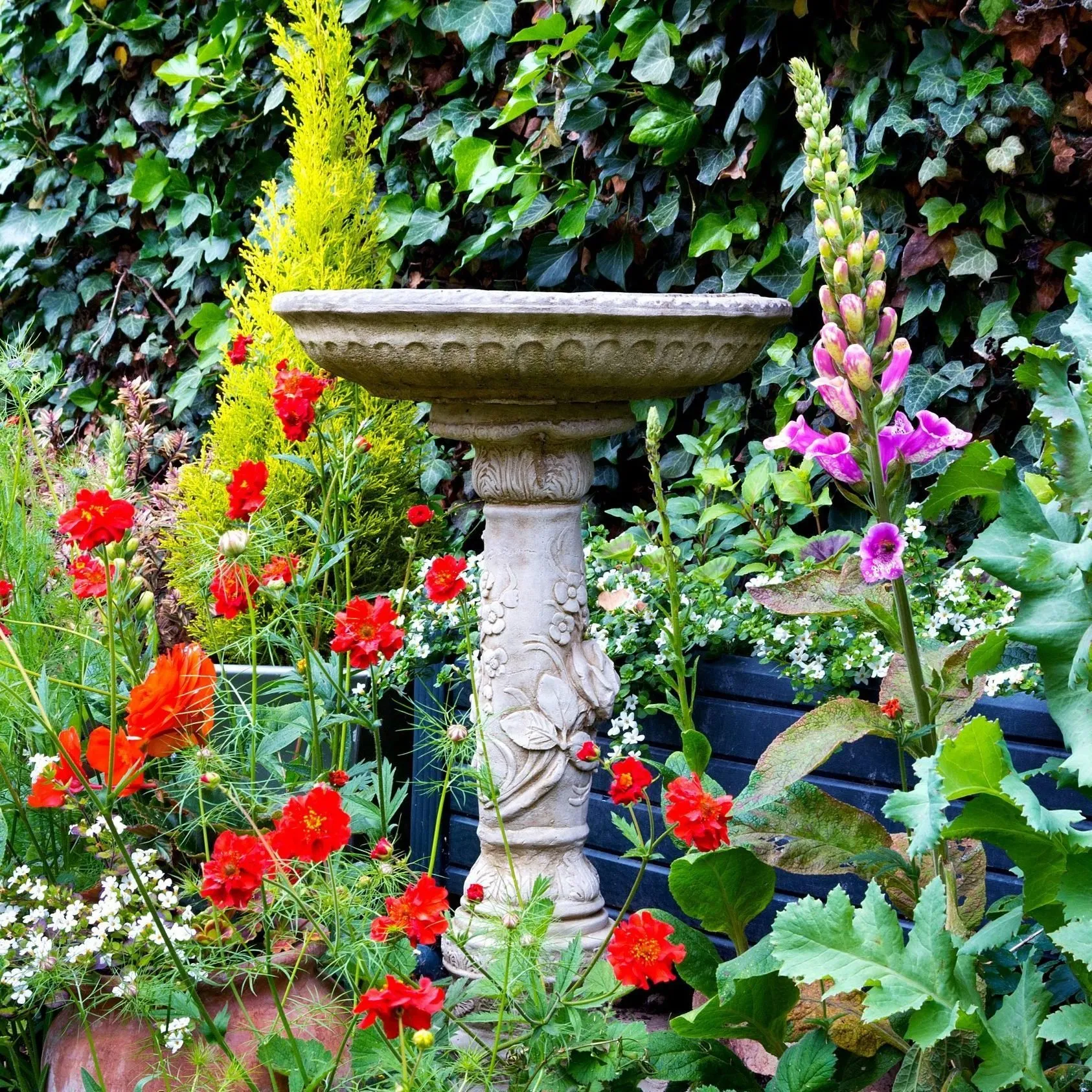 12788 kitchen decor garden decor