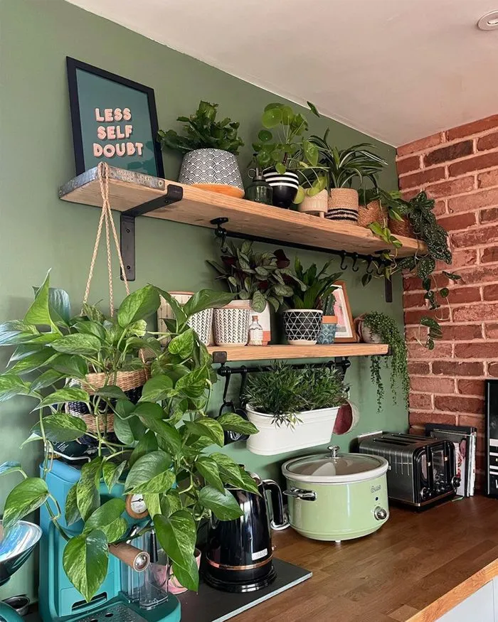 12788 kitchen decor garden plants