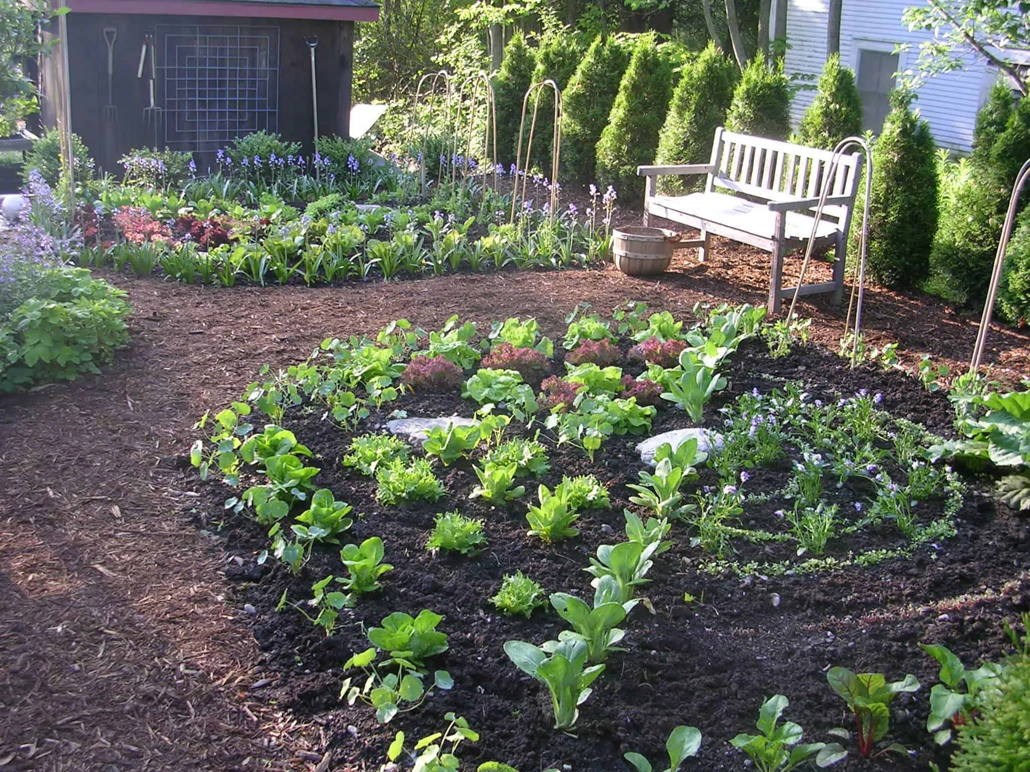 12788 kitchen decor garden watering